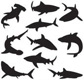 Shark Silhouettes