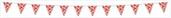 Crab Pennant Banner