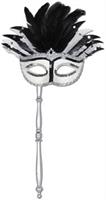 Costume Mask w/Stick