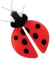 Ladybug