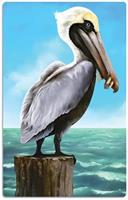 Pelican Cutout