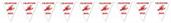 Crawfish Boil Pennant Banner