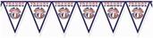 Pennant Banner - France