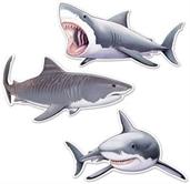 Shark Cutouts