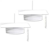 Grad Cap Paper Lanterns