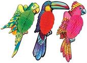 Tissue Exotic Birds