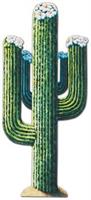 Jointed Cactus