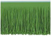 6-Ply Tissue Fringe Drape