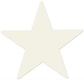 Foil Star Cutout
