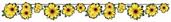 Sunflower Streamer