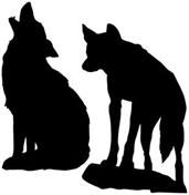 Coyote Silhouettes