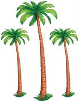 Jointed Palm Trees