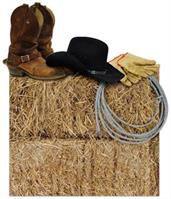 Western Stand-Up