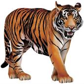 Jointed Tiger