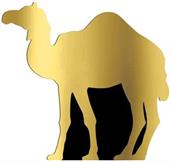Camel Stand-Up