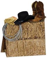 3-D Western Centerpiece