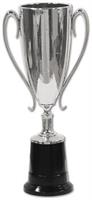 Trophy Cup Award