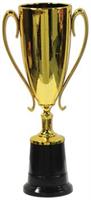 Trophy Cup Award