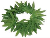 Tropical Fern Leaf Headband