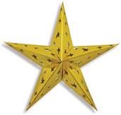 Dimensional Foil Star