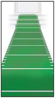 Sports Field Runner