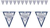 Retired Now The Fun Begins! Pennant Bnr