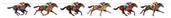 Horse Racing Streamer