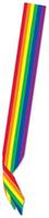 Rainbow Satin Sash