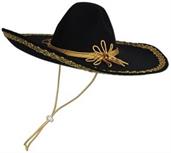 Felt Sombrero