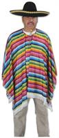 Serape Costume