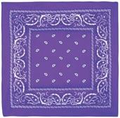 Purple Bandana