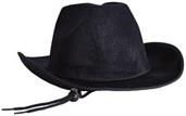 Velour Cowboy Hat