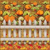 Pumpkin Patch Backdrop