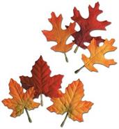 Autumn Leaves