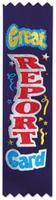 Great Report Card Value Pack Ribbons