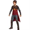 Ron Weasley Classic Ch Costume