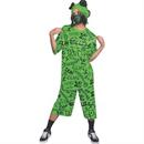 Pop Culture Costumes