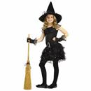 Girls Black & Silver Glitter Witch Costume