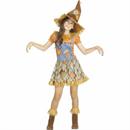 Scarecrow Costumes