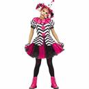 Harley Quinn Costumes