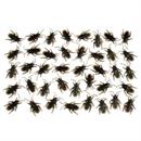 COCKROACHES 40PCS