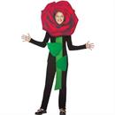 Floral Costumes