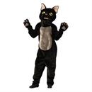 Cat  Costumes