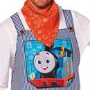 Adults Thomas & Friends Conductor Costume