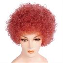 Wigs