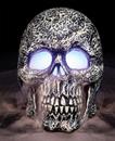 Skull Mister