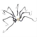 Large Skull Spider 47in