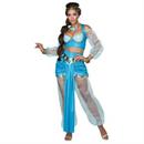 ARABIAN PRINCESS ADULT Costume