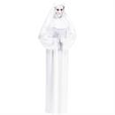 Scary Mary Adult Costume