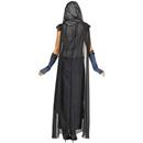 LADY LIONHEART AD Costume